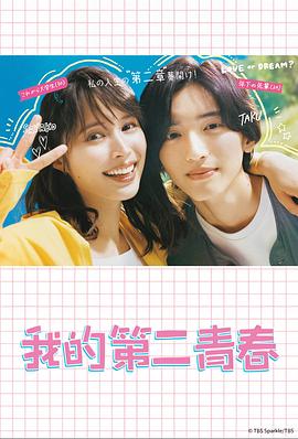 怀化seo优化批发